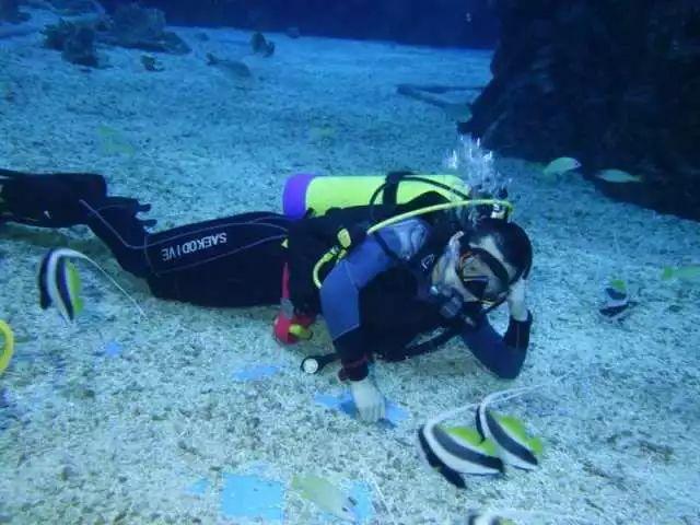 舞者芭比